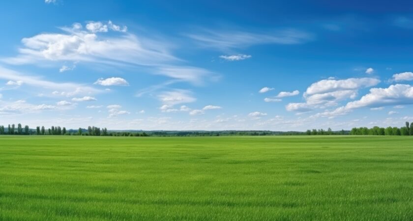 Our journey to Net Zero